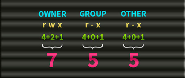 Solucionando el problema de permisos de archivos web