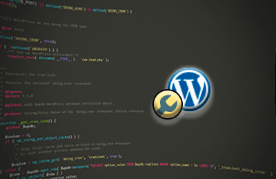 Cómo activar/desactivar el WordPress cron
